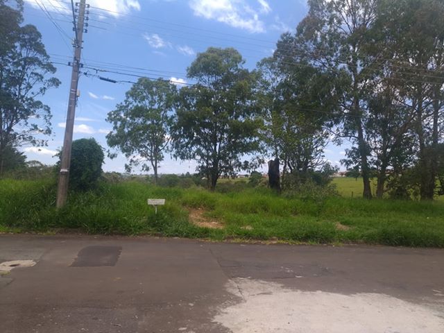 Terreno com mato alto e sem calçada pode gerar multa ao proprietário