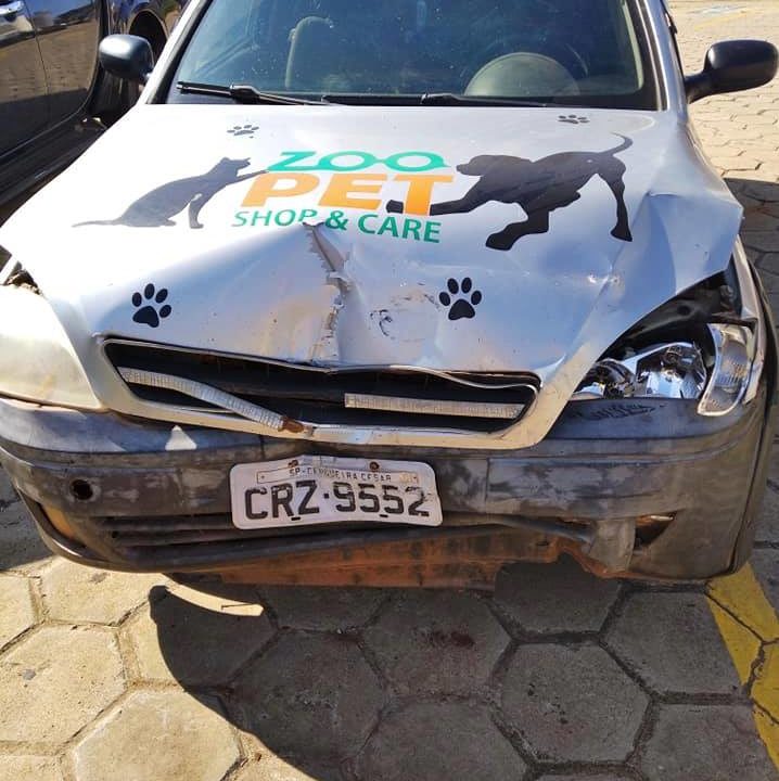Acidente com carro impede Ong de socorrer animais em Avaré