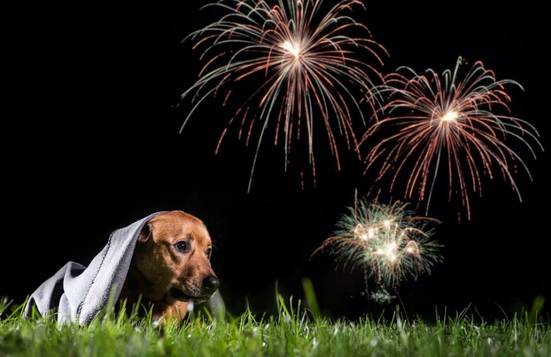 Câmara vai discutir e votar projeto que proíbe fogos de artifício com ruído em Avaré