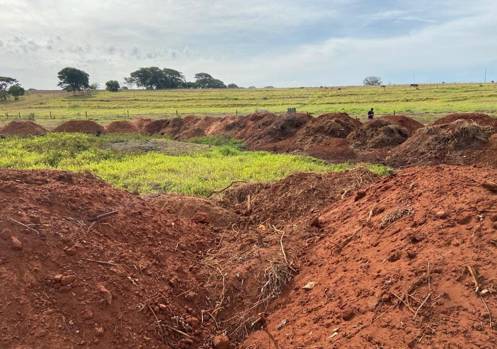 Vereadores visitam haras de secretário e encontram indícios para abertura de CPI