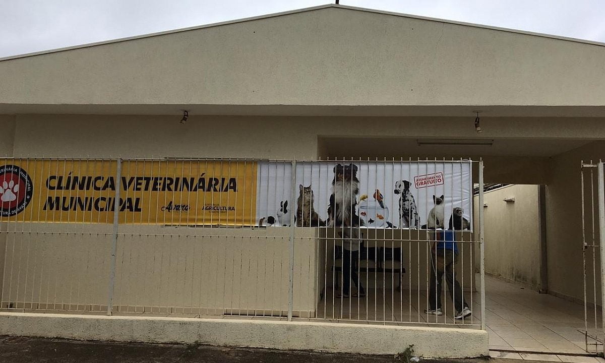 Castração gratuita de animais volta a ser realizada com agendamento em Avaré