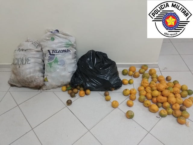 Dois homens são presos em flagrante furtando cerca de 150 quilos de laranja