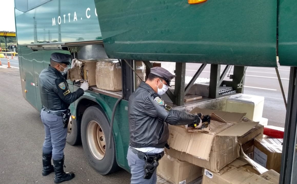 Carga suspeita em ônibus era carregamento de maconha e skunk