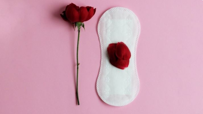 https://www.jornalacomarca.com.br/wp-content/uploads/2021/11/Dignidade-menstrual.jpg