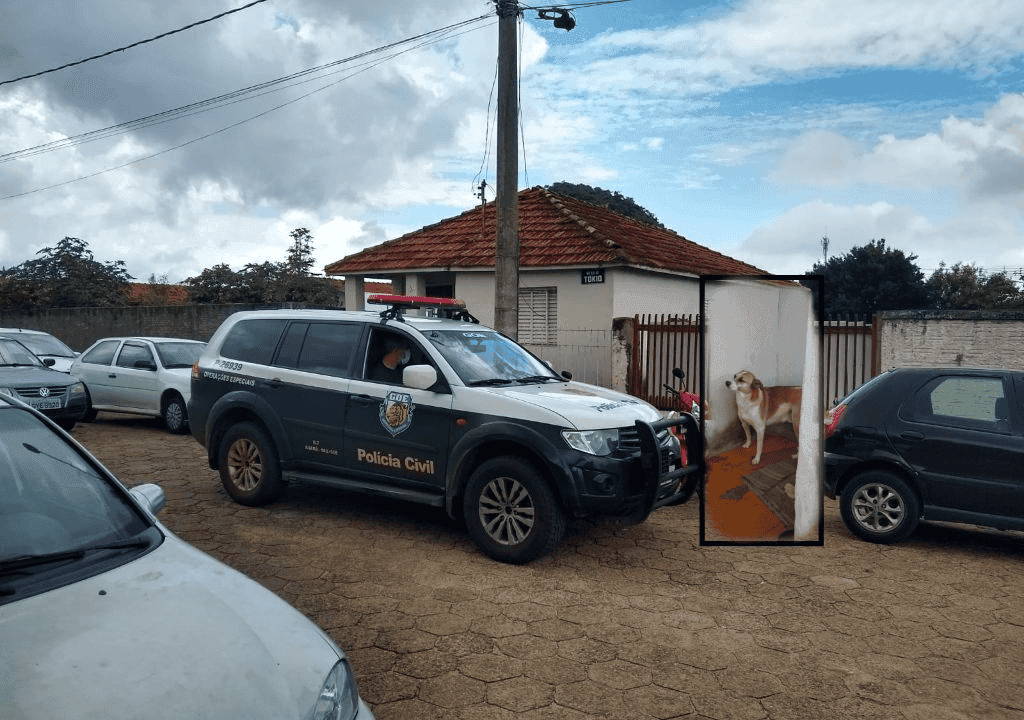 Polícia Civil de Avaré resgata cão deixado sozinho em residência