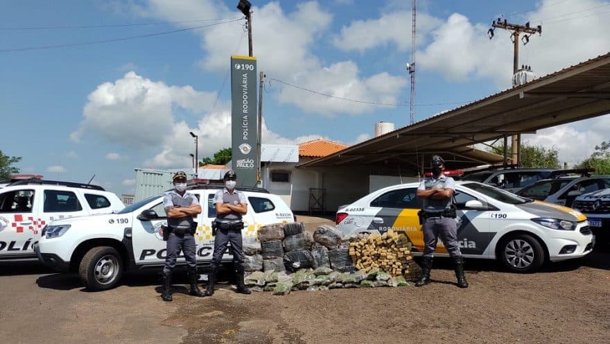 Mais de meia tonelada de maconha é apreendida em Santa Cruz do Rio Pardo