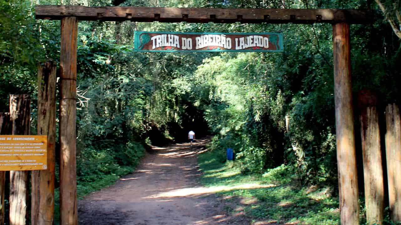 Projeto com cadeiras adaptadas para trilhas será implantado no Horto Municipal