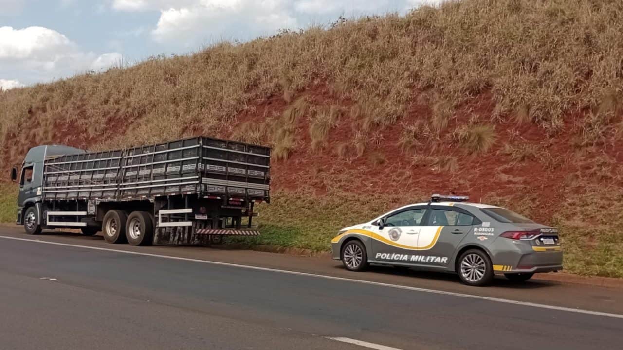 Motorista de caminhão é preso com centenas de caixas de vinho sem documentação