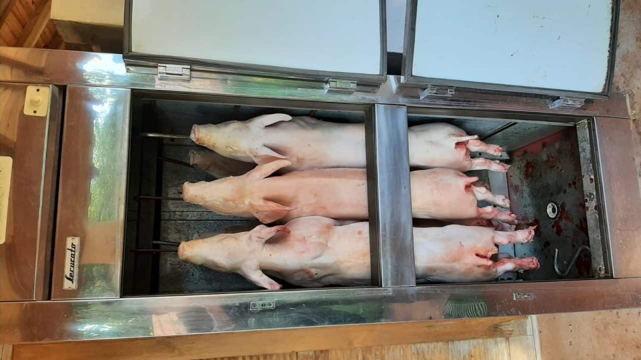 Tráfico de drogas e comércio ilegal de carne são alvos de operação em Fartura