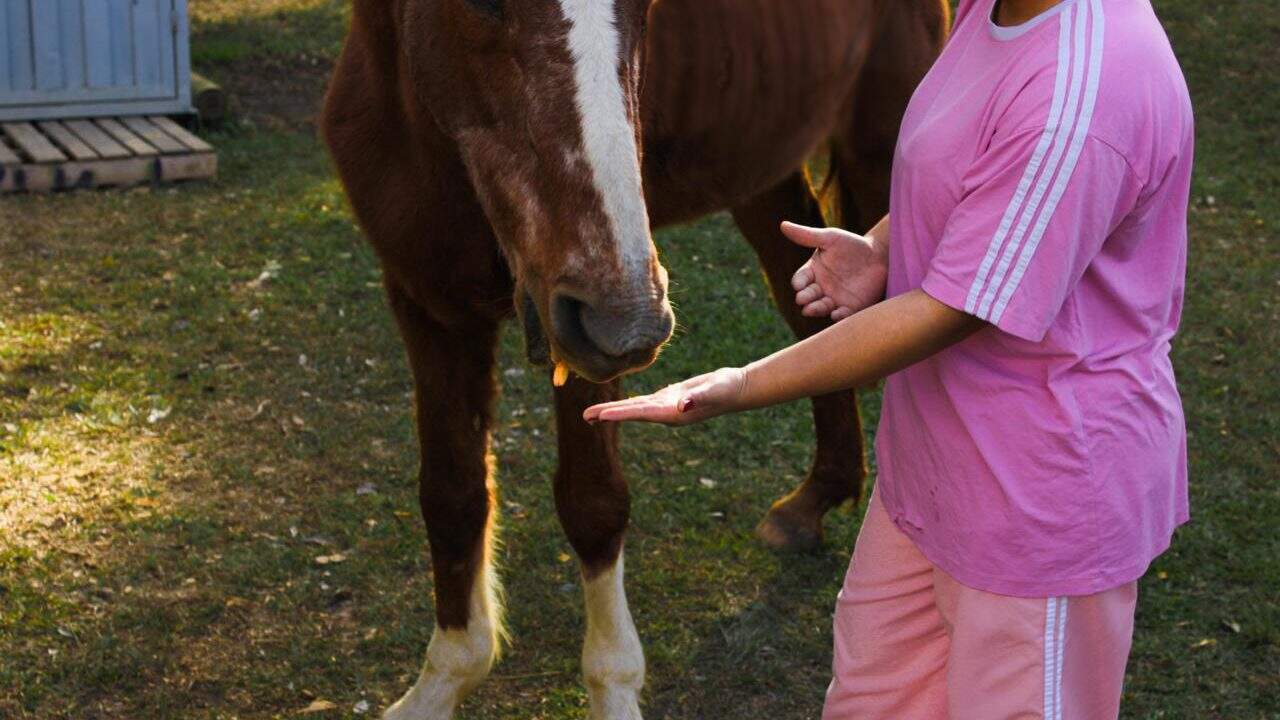 Jovens da Fundação CASA de Cerqueira César cuidam da saúde mental por meio de terapia assistida por animais em Itu