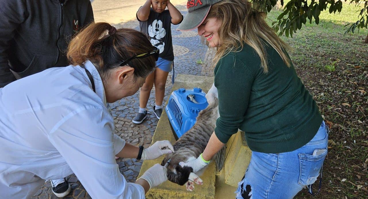 Mais de 3 mil pets foram vacinados contra a raiva desde janeiro em Avaré