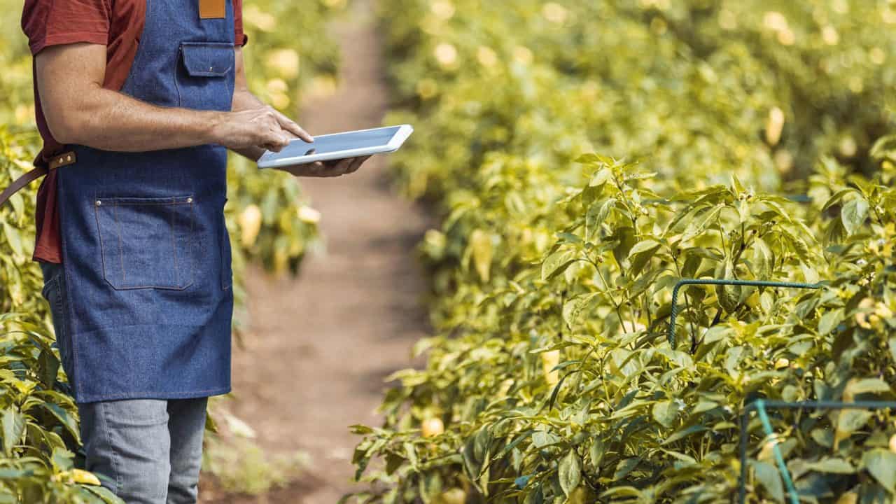 Sebrae-SP abre inscrições para programa gratuito de inovação rural na região