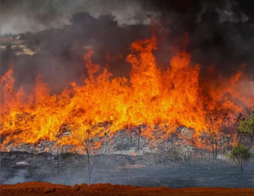 Incêndio de grandes proporções atinge área de mata em Avaré
