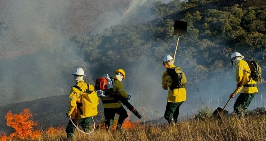 Óleo promove treinamento gratuito para brigada de incêndio