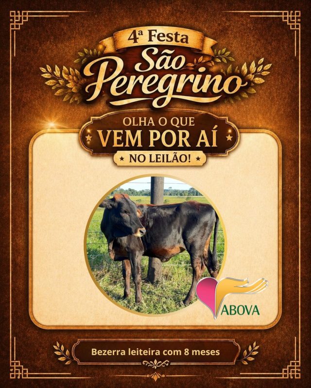 4ª Festa São Peregrino terá churrasco, música ao vivo e leilão beneficente em Avaré