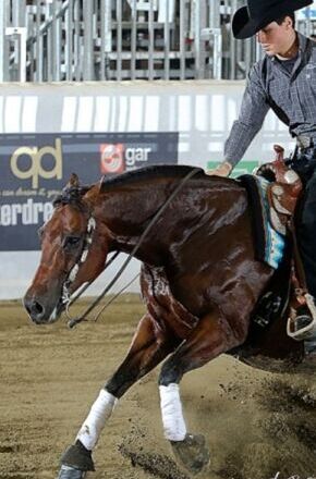 World Youth Reining Cup: Avaré recebe atletas de 16 nações para competição de rédeas