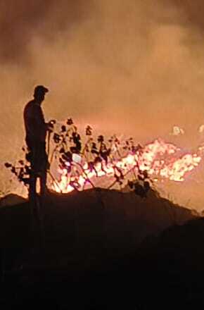 Defesa Civil e Bombeiros combatem incêndio de grandes proporções em Condomínio