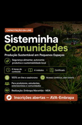Embrapa oferece curso on-line sobre produção sustentável em pequenos espaços