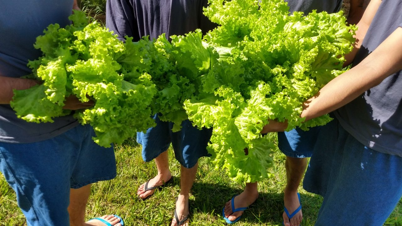 Adolescentes e servidores da Fundação CASA doam alimentos e roupas em Cerqueira César