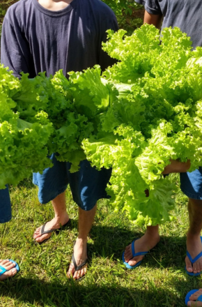 Adolescentes e servidores da Fundação CASA doam alimentos e roupas em Cerqueira César