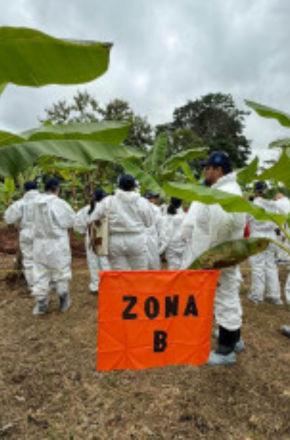 Arandu e Avaré recebem treinamento de emergência sanitária da Defesa Agropecuária
