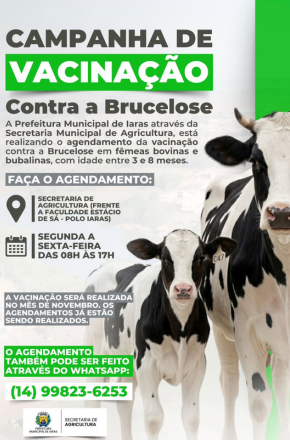 Iaras abre agendamento para vacinação contra brucelose em bovinos e bubalinos