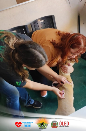 Campanha antirrábica imuniza 500 cães e gatos em Óleo e distritos